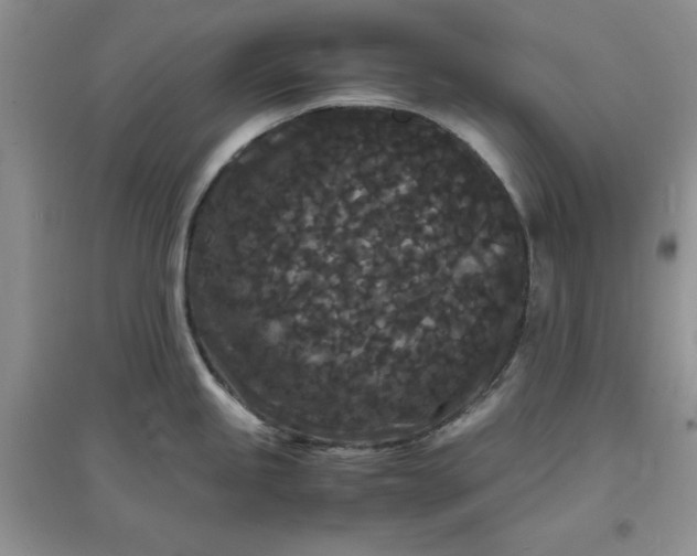 X0000097621245200803141955