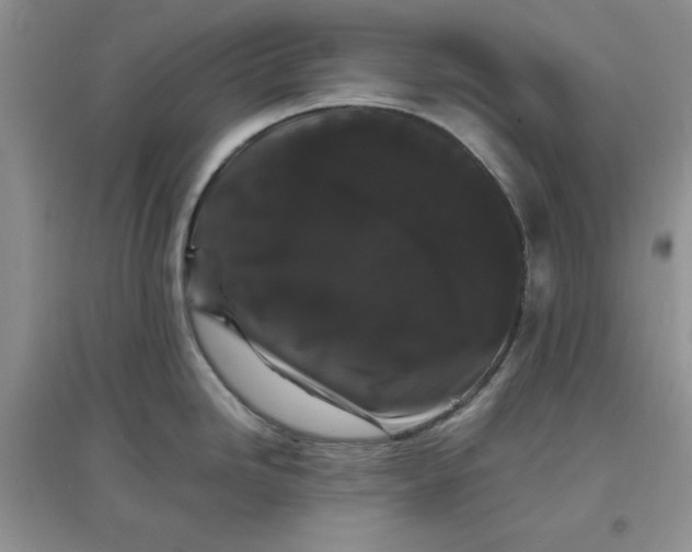 X0000097621246200803141955
