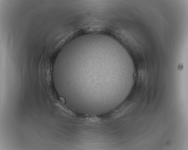 X0000097621250200803141954