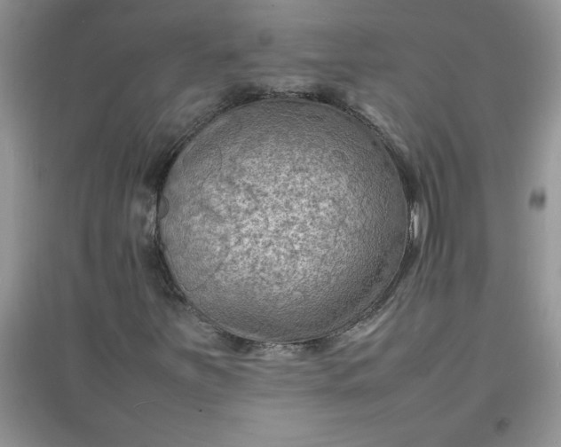 X0000097621251200803141954