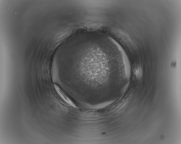X0000097621252200803141954
