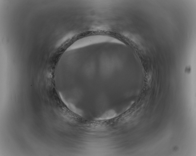 X0000097621254200803141954