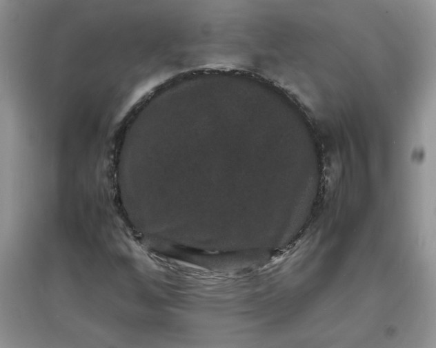 X0000097621256200803141954