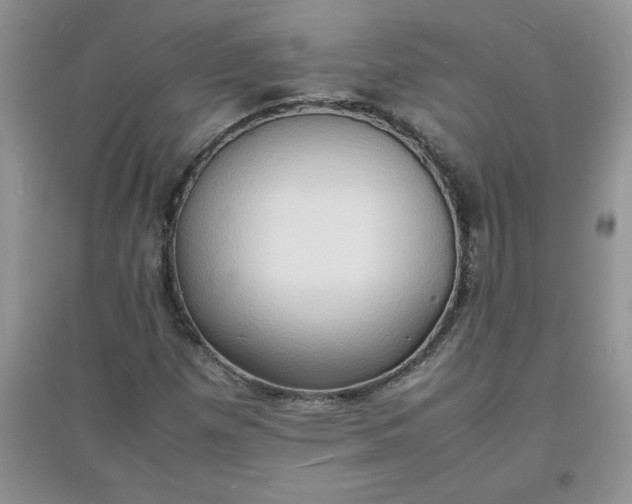 X0000097621257200803141954