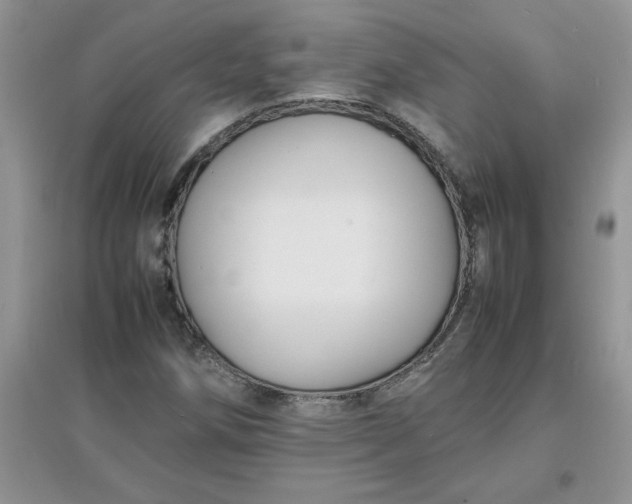 X0000097621258200803141954