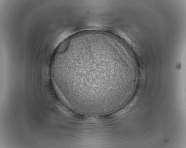 X0000097621259200803141954