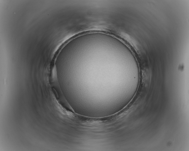 X0000097621260200803141954