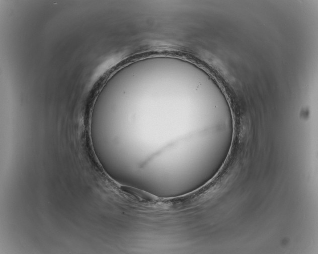 X0000097621261200803141954