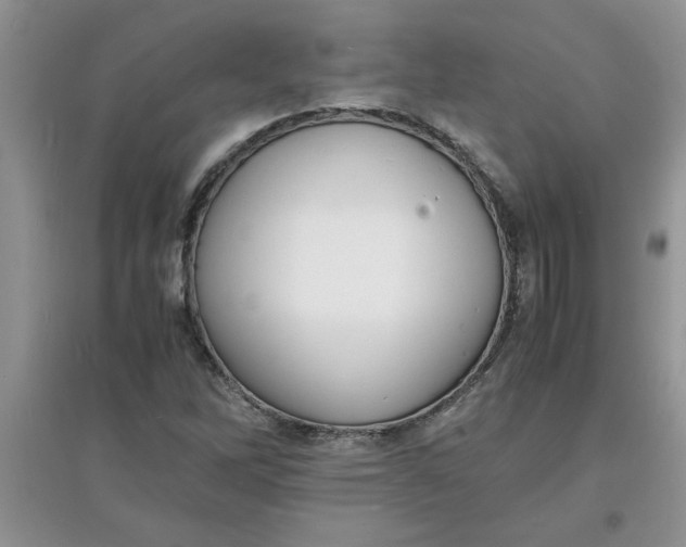 X0000097621262200803141954