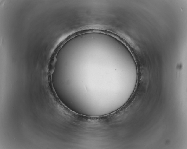 X0000097621264200803141954