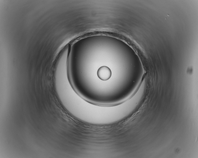 X0000097621266200803141954
