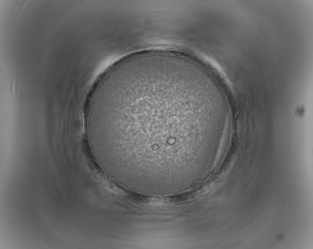 X0000097621267200803141954