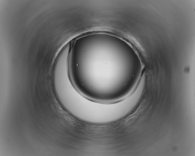 X0000097621268200803141954