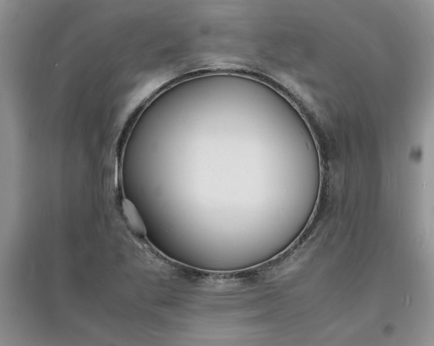 X0000097621269200803141954