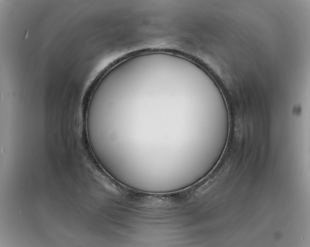 X0000097621270200803141954