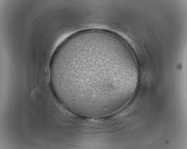 X0000097621271200803141954