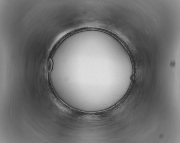 X0000097621272200803141954