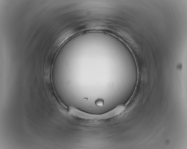 X0000097621273200803141954