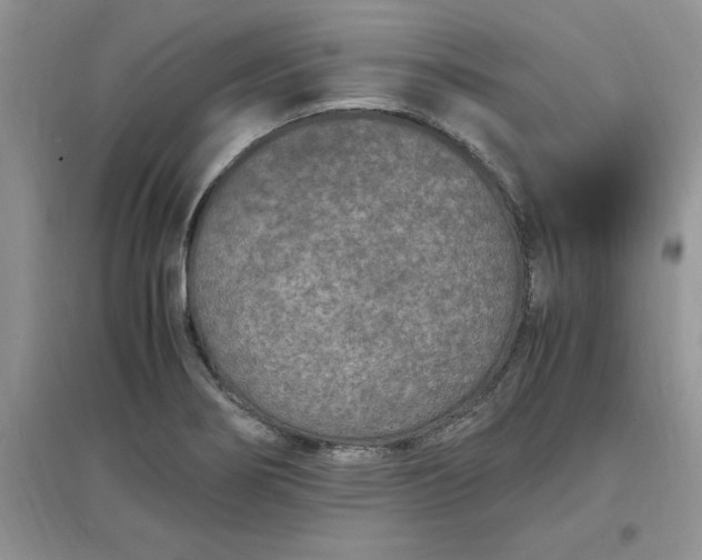 X0000097621274200803141954