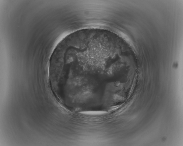 X0000097621275200803141954