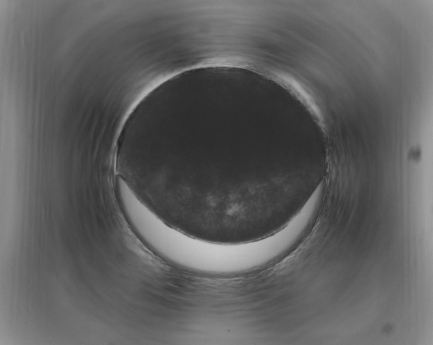 X0000097621276200803141954