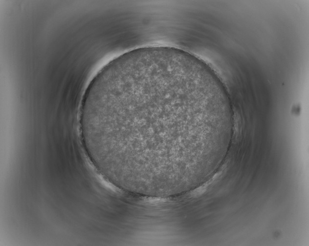 X0000097621278200803141954