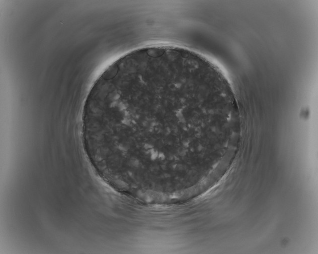 X0000097621279200803141954