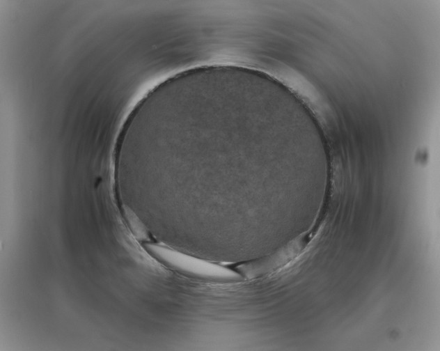 X0000097621280200803141954