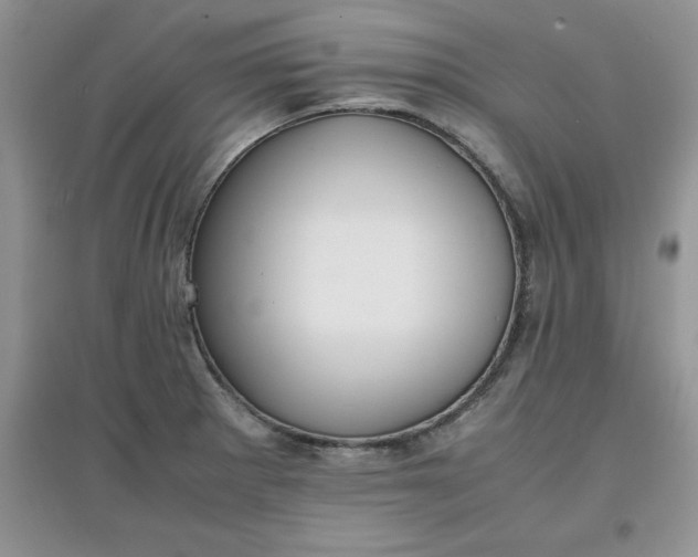 X0000097621281200803141954