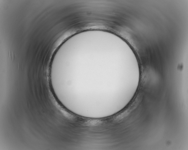 X0000097621282200803141954