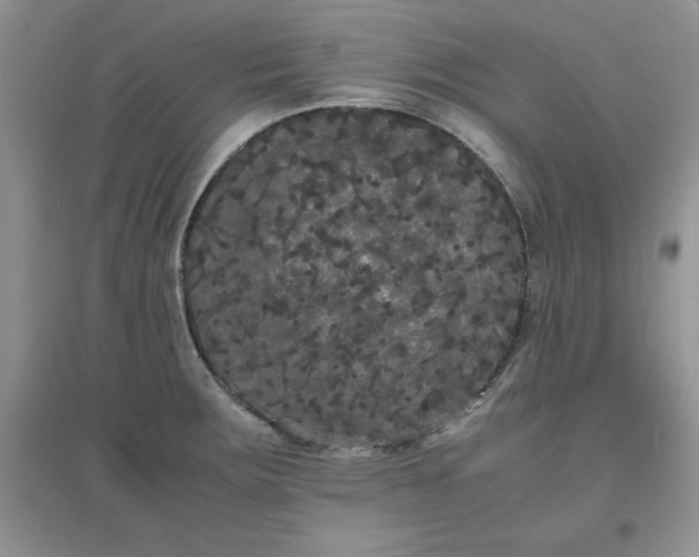 X0000097621283200803141954