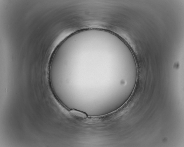 X0000097621285200803141954