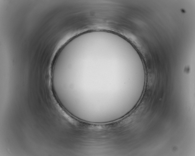X0000097621286200803141954