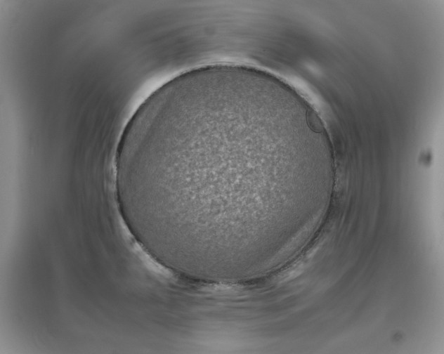 X0000097621287200803141954