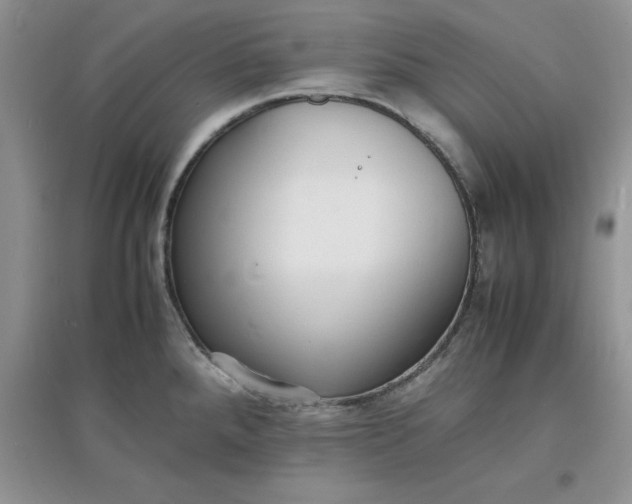X0000097621288200803141954