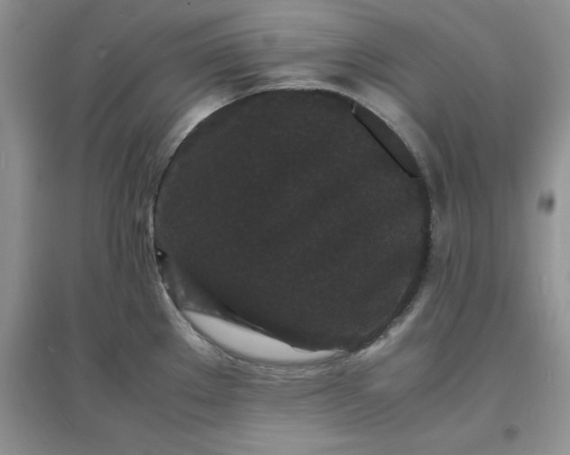 X0000097621289200803141954