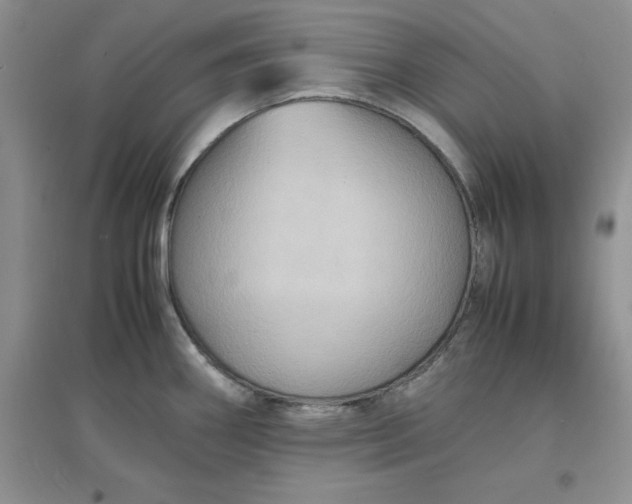 X0000097621290200803141954
