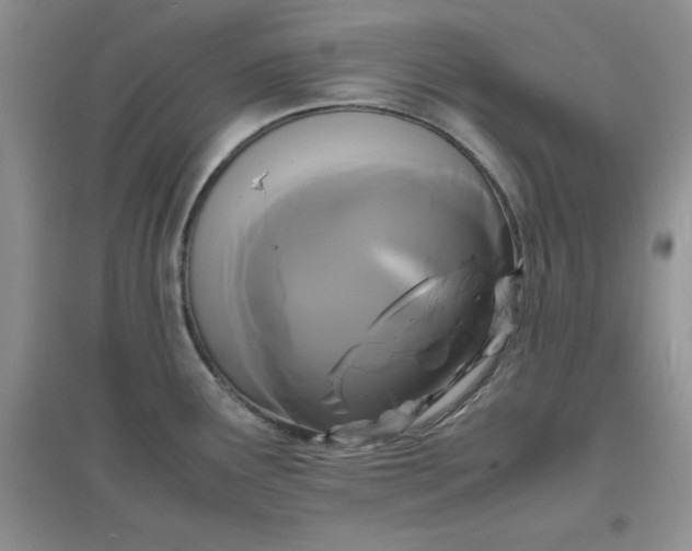 X0000097621291200803141954