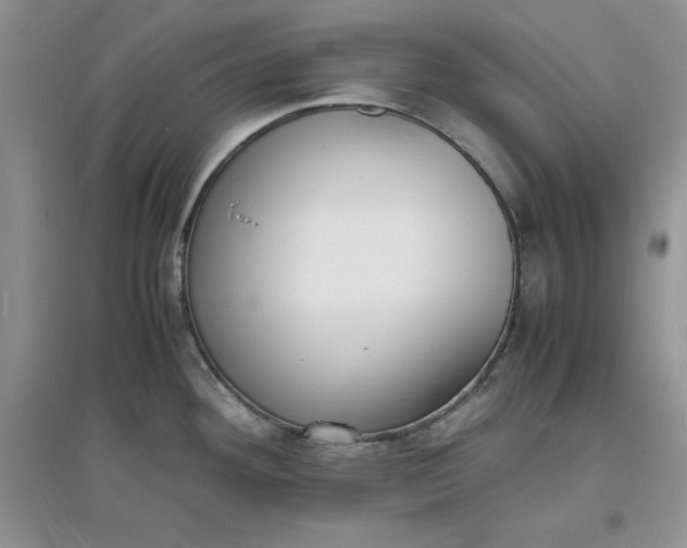 X0000097621292200803141954