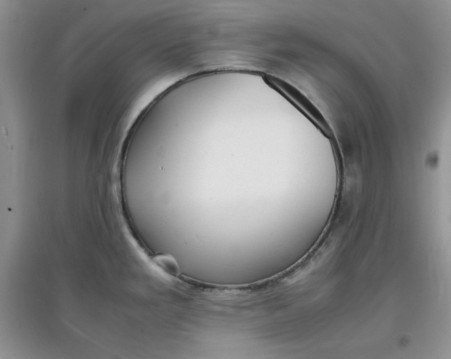 X0000097621293200803141954