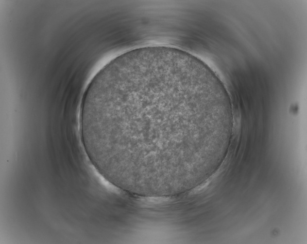 X0000097621294200803141954