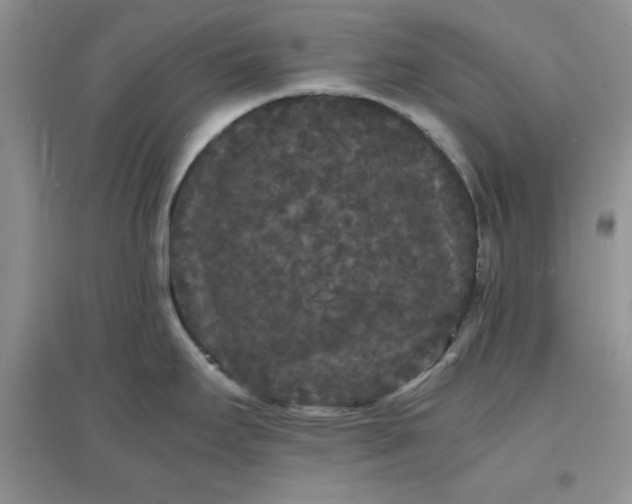 X0000097621295200803141954