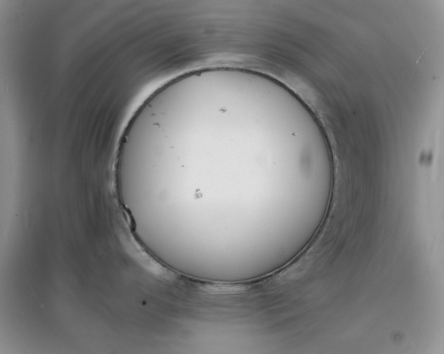 X0000097621296200803141954