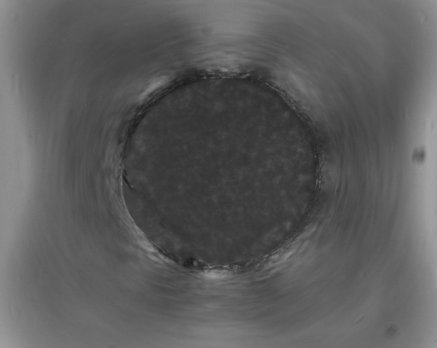 X0000097621297200803141953