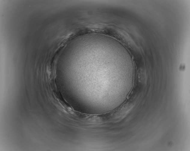 X0000097621298200803141953