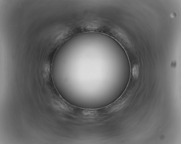 X0000097621299200803141953