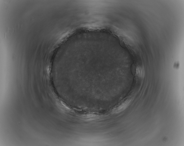 X0000097621300200803141953