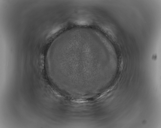 X0000097621301200803141953