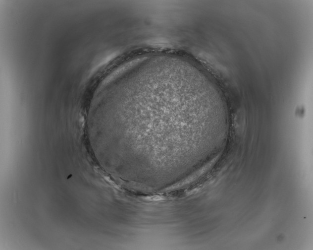 X0000097621302200803141953