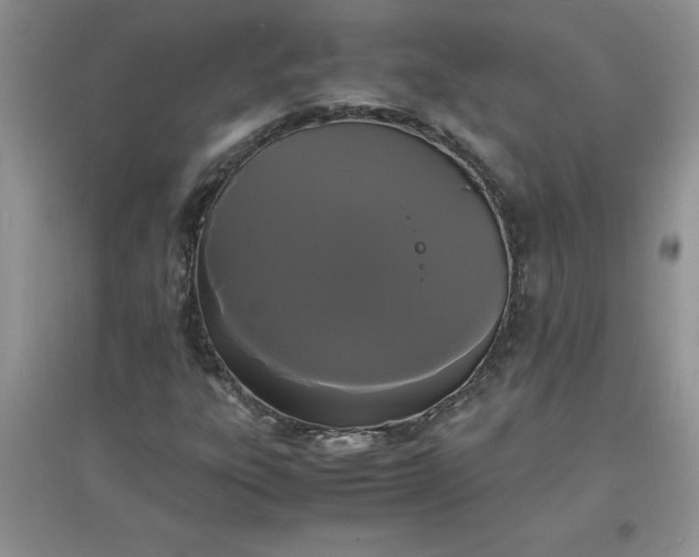 X0000097621303200803141953